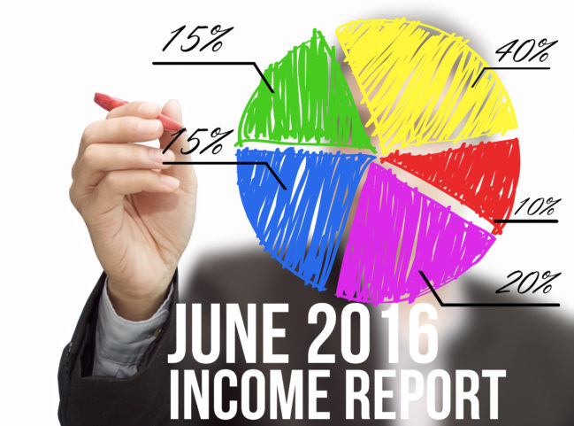 june blog income report
